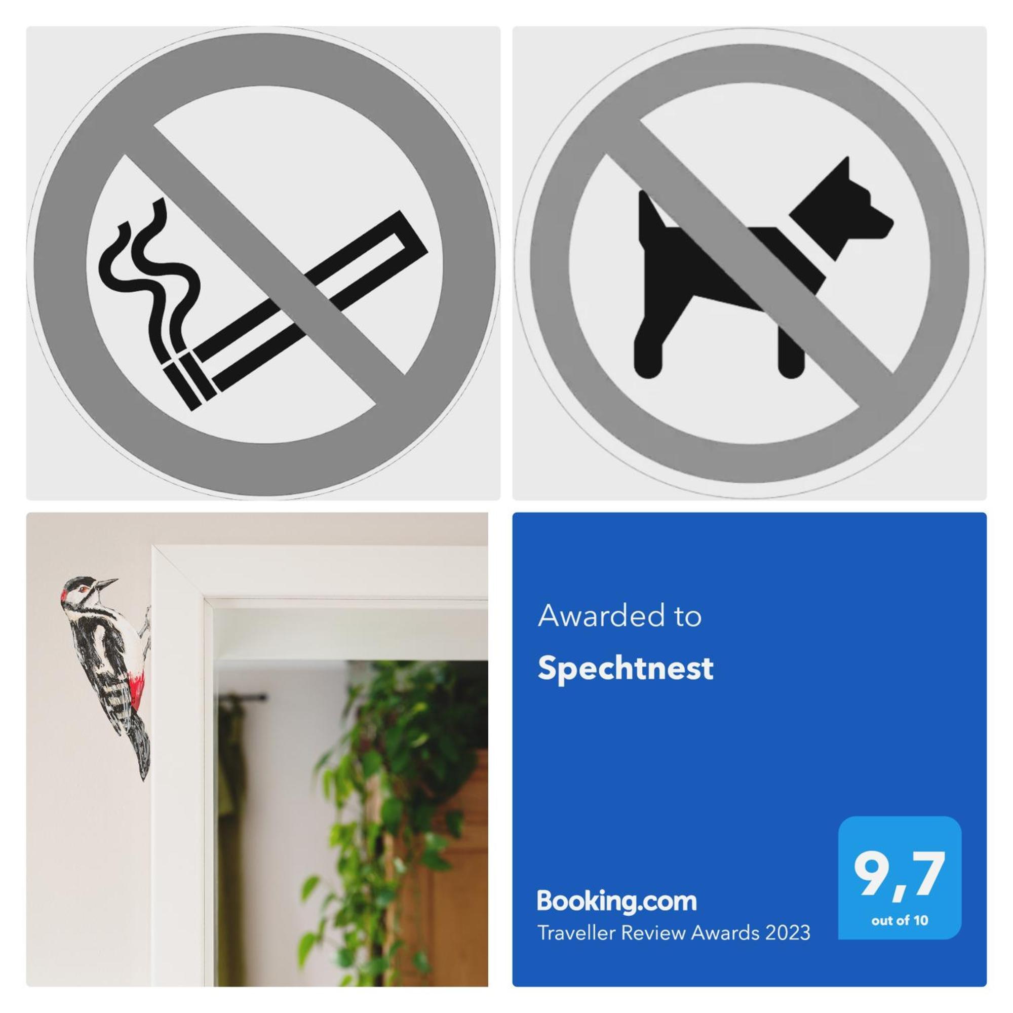 Spechtnest Apartment Наумбург Екстериор снимка